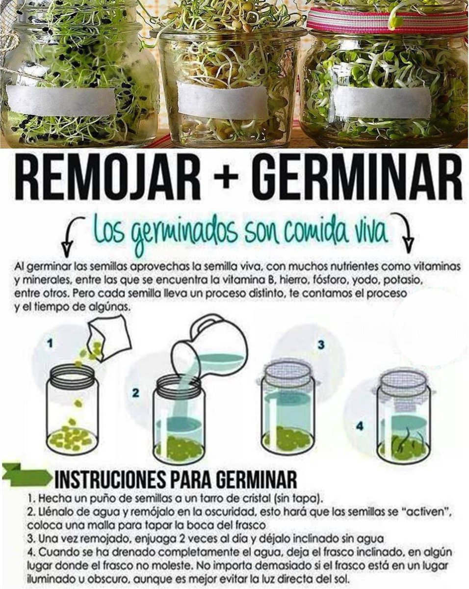 EcoInventos tweet media