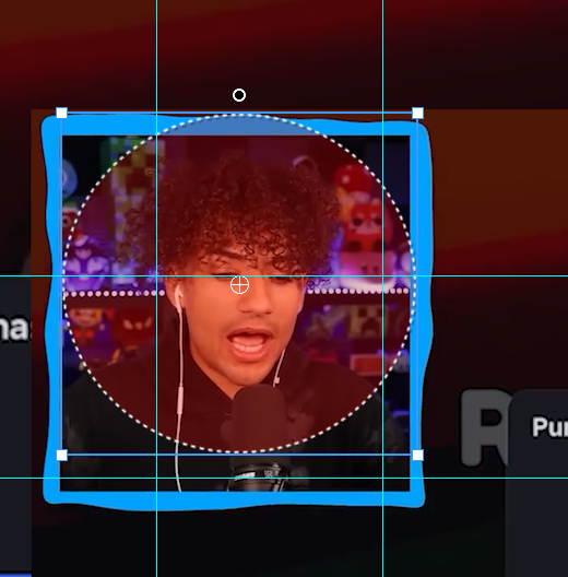 David Host tweet media