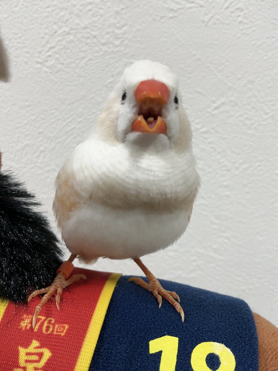 あーーーーーーー