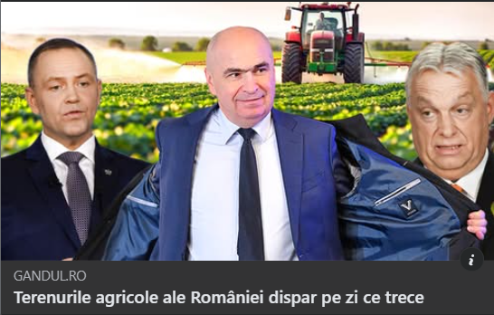 John Doe tweet media