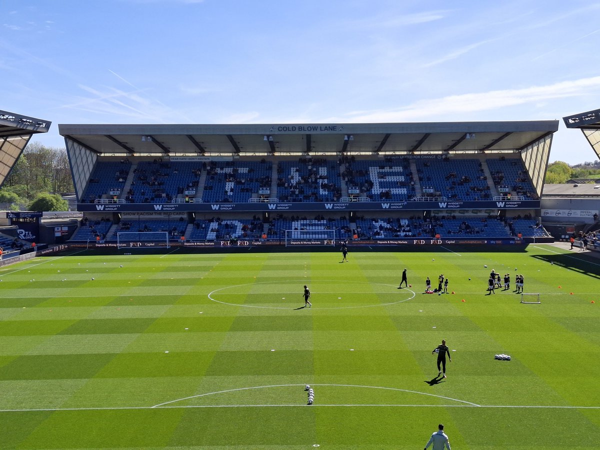 Daniel Tortoise tweet media