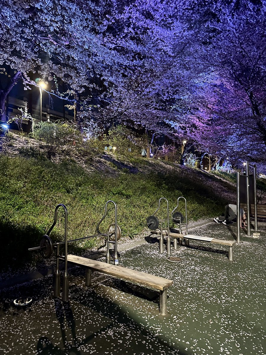 Kangmin Lee | 이강민 tweet media