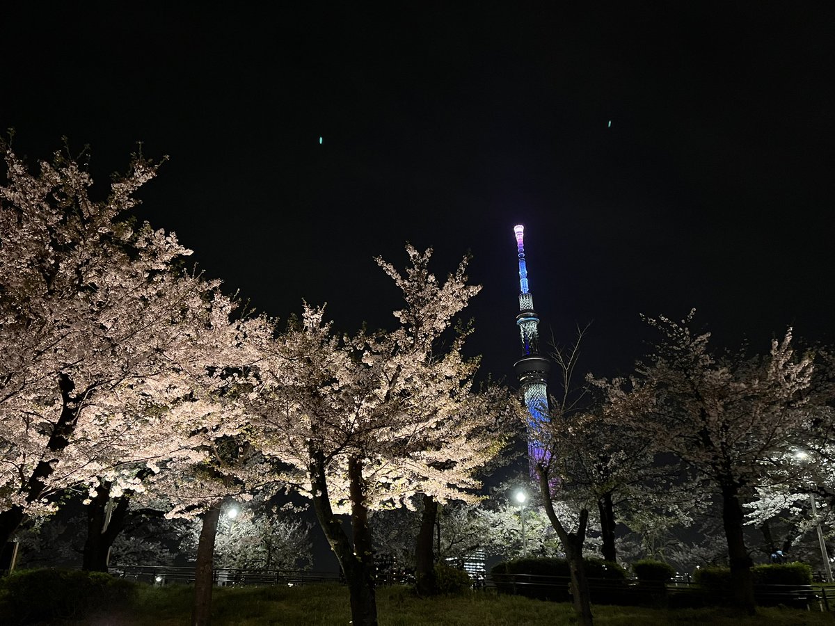 Atelier COMET⭐️ tweet media