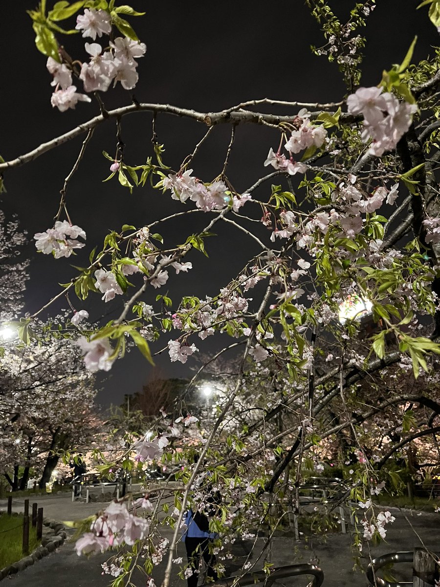 Atelier COMET⭐️ tweet media