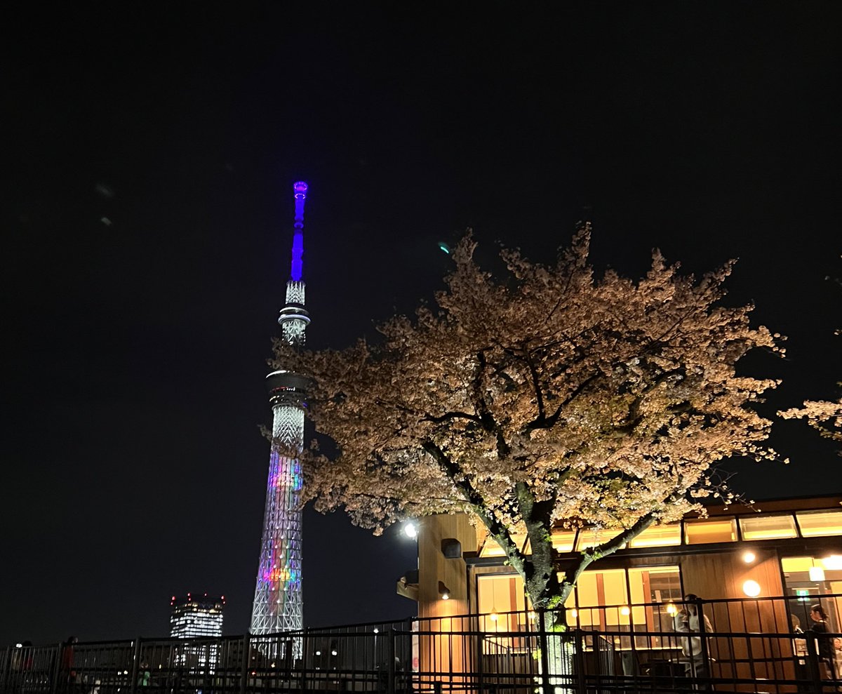 Atelier COMET⭐️ tweet media