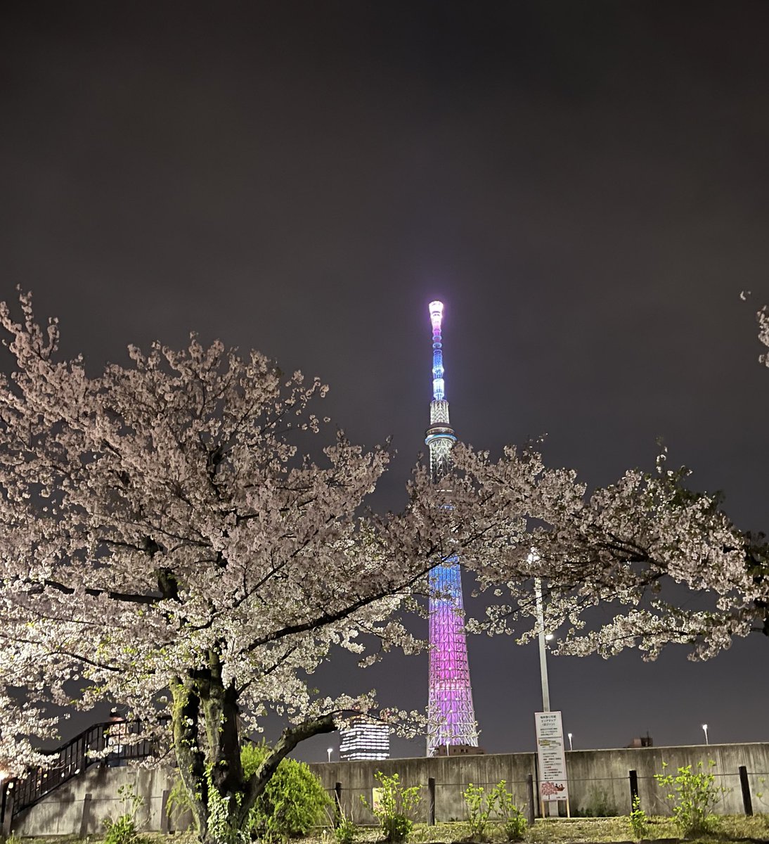 Atelier COMET⭐️ tweet media