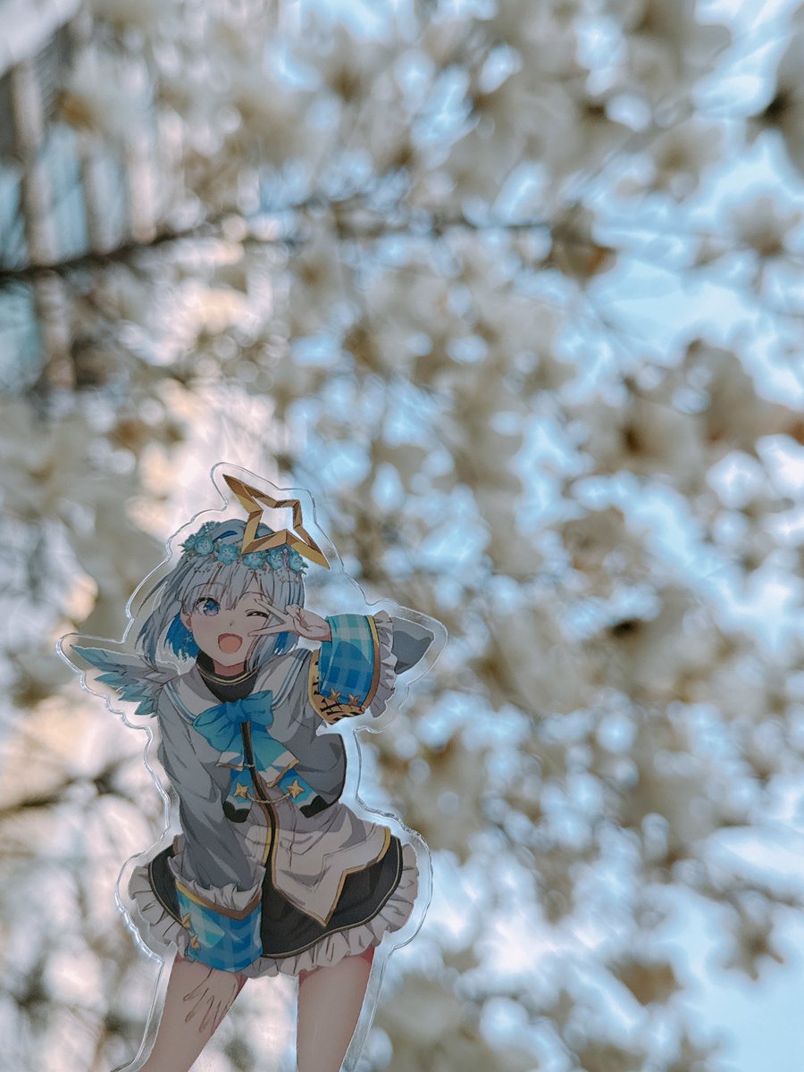 HEHEHe💫 tweet media