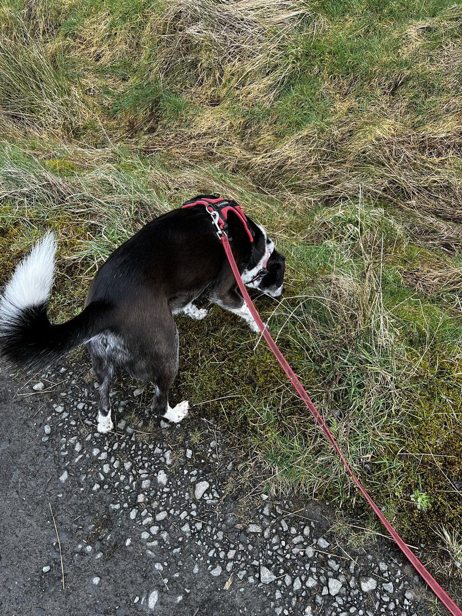 Andy Bryson tweet media