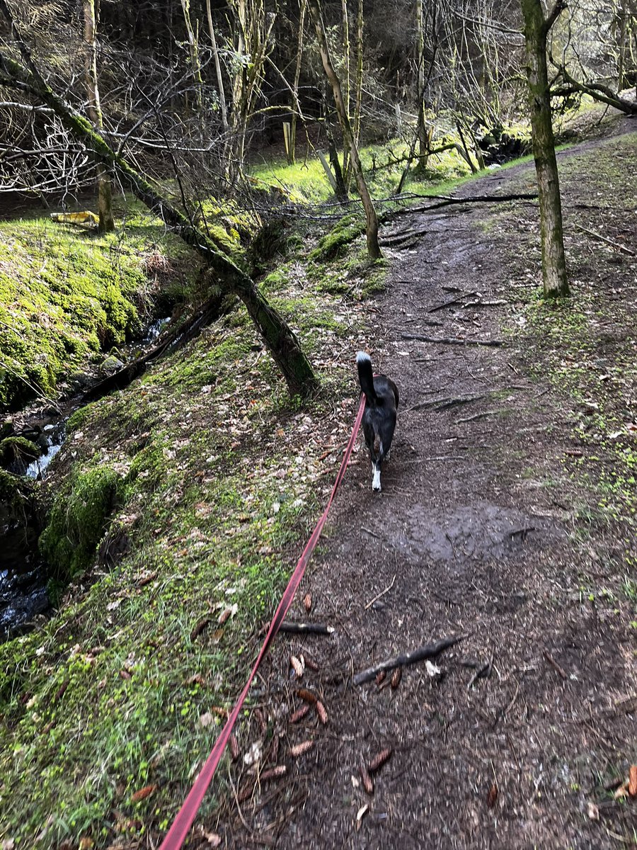 Andy Bryson tweet media