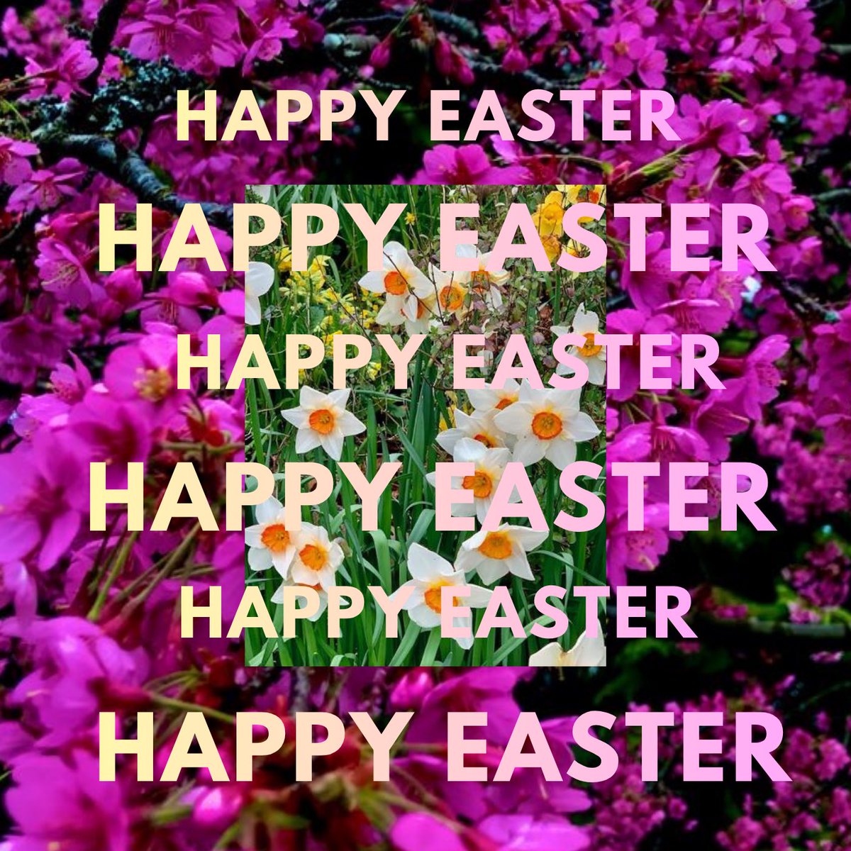 Vocalatti's tweet image. Happy Easter #happyeaster #easter #easterwishes