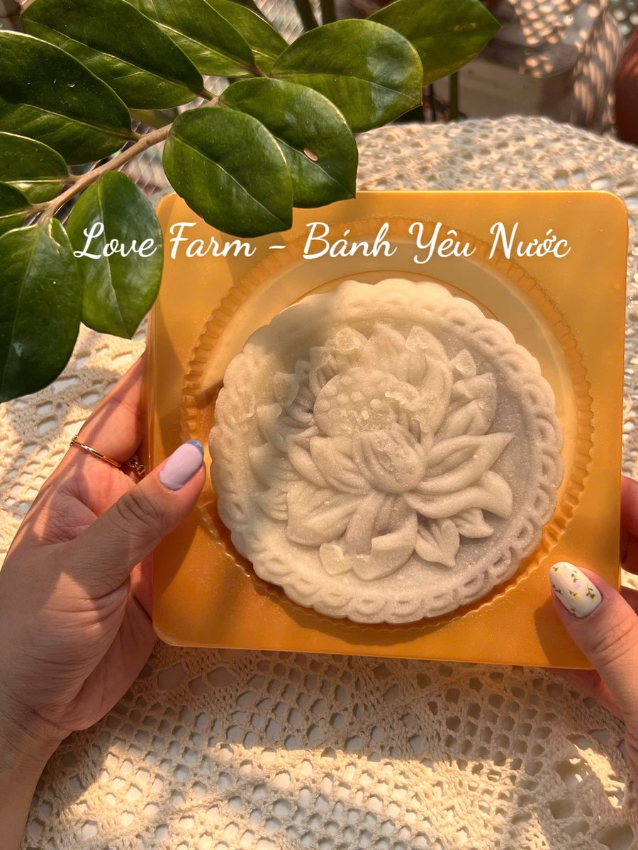 Phạm Na | DDA tweet media