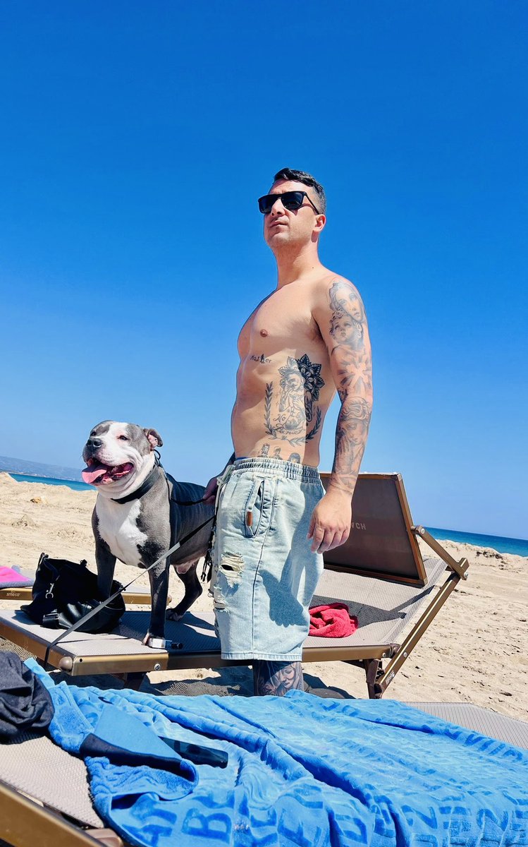 Rollo 🦍 tweet media