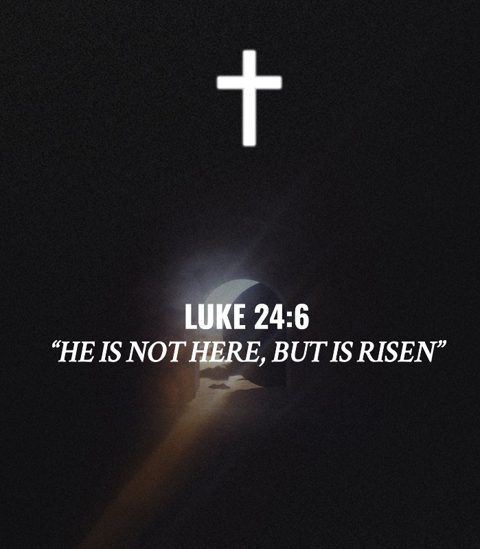 Elisha Olumide tweet media