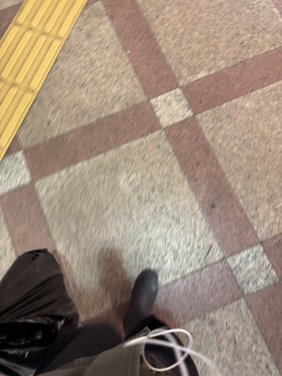 신세기 tweet media