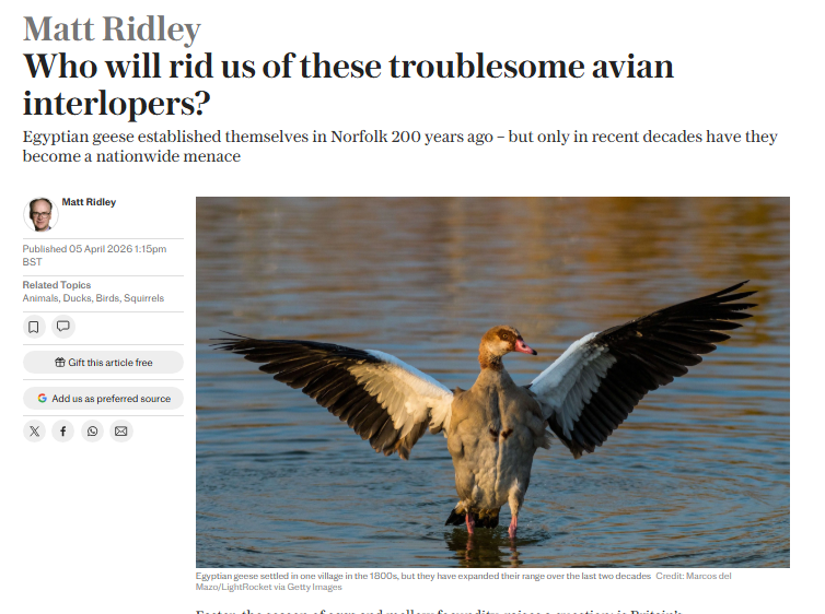 RAW EGG NATIONALIST tweet media