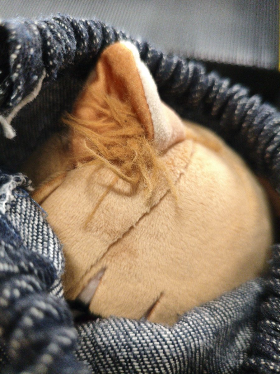 ぐーやん🍎🐺🎀 tweet media