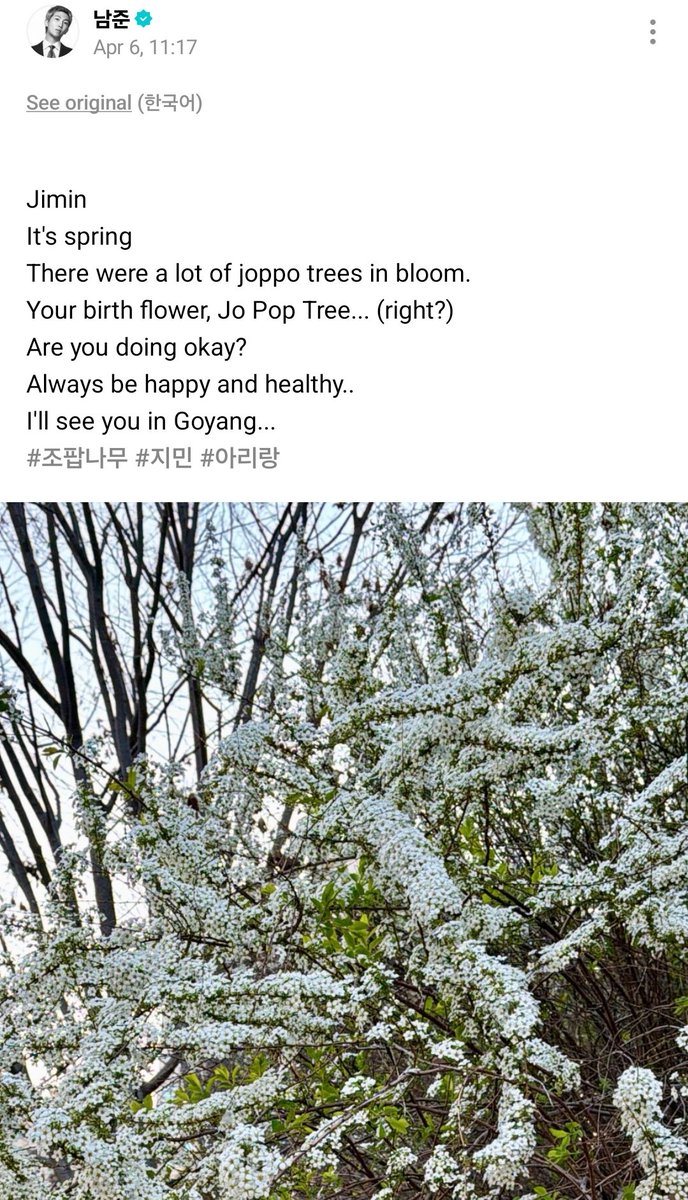 🪭ᴀʀɪʀᴀɴɢ⊙⊝⊜ꜱᴡɪᴍ IdleSaturn⁷⁺ᵃʳᵐʸ tweet media