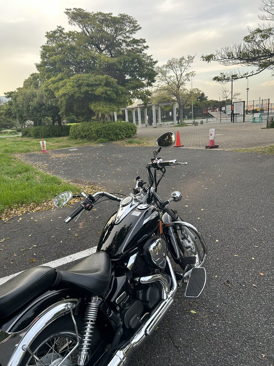 q__piiman's tweet photo. あったかくて気持ちよかった☀️
#ドラッグスター250 https://t.co/1WyTwgax66