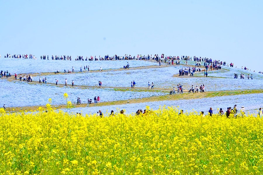 極上の旅図鑑 tweet media