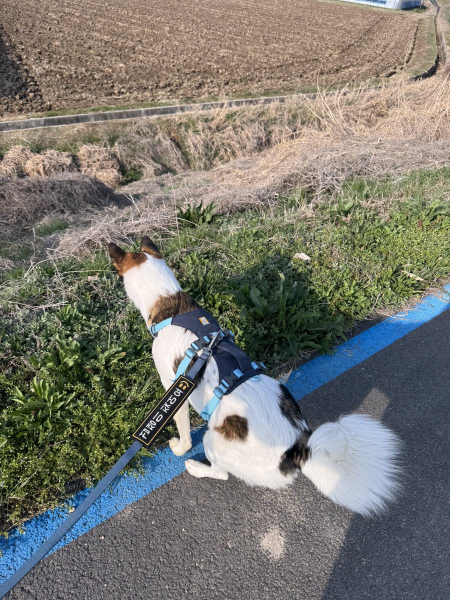 김정 식🍀 tweet media