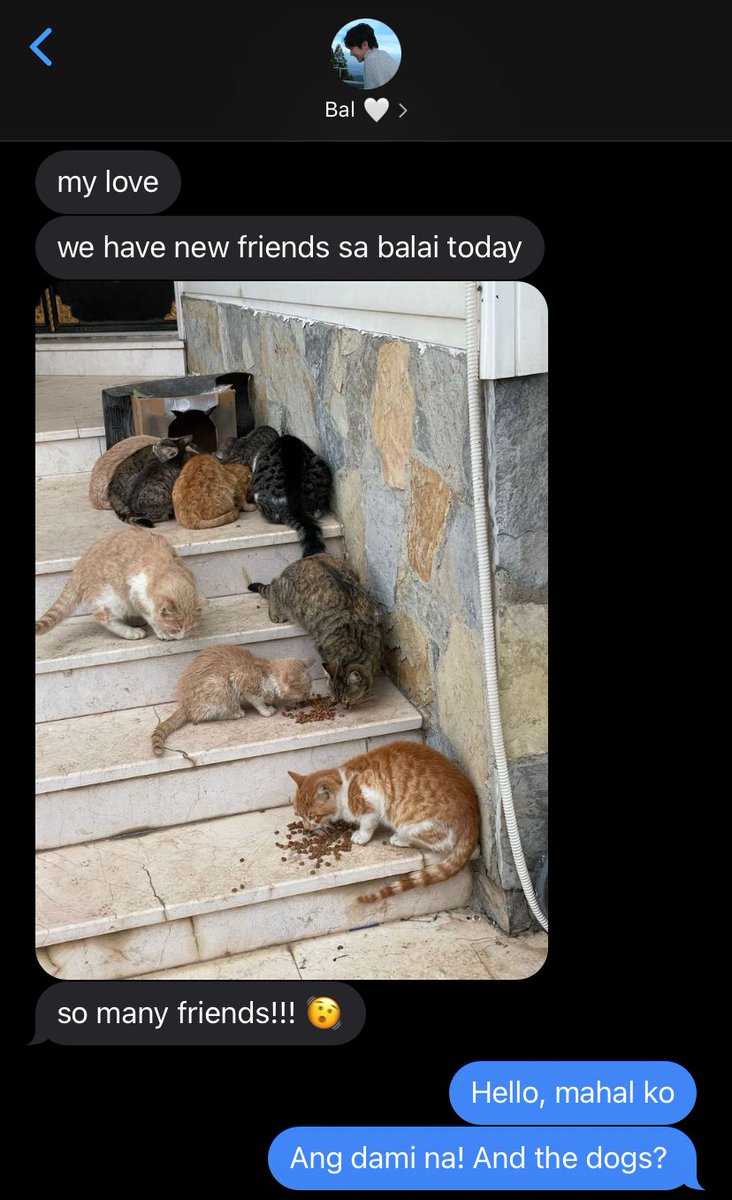 nadi 🍀 tweet media