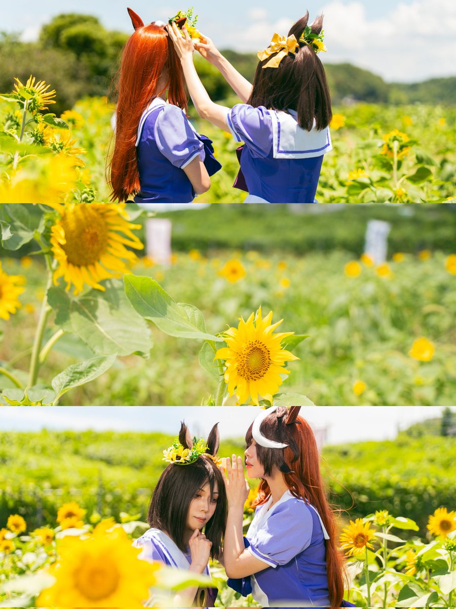 チヨ子 tweet media