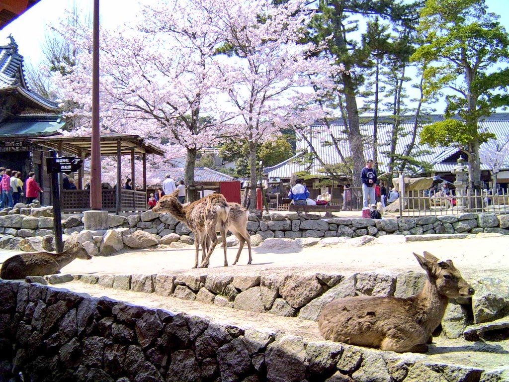 ゆんた tweet media