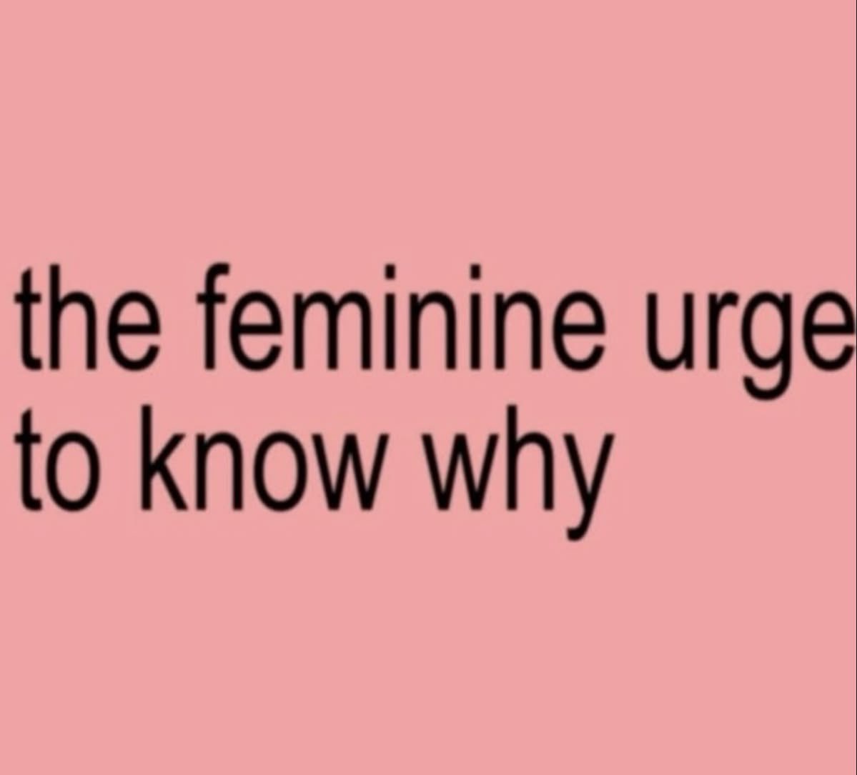 femmenotes tweet media