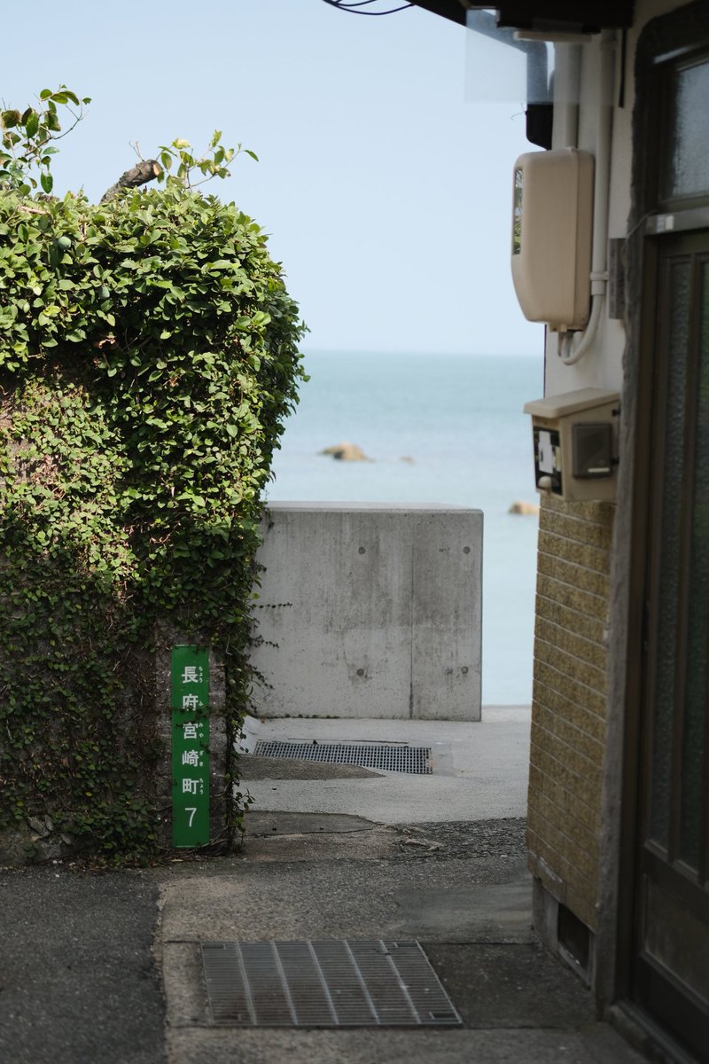 ピクチャーシェル tweet media