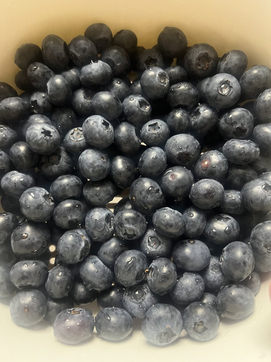 海鸥（ tweet media