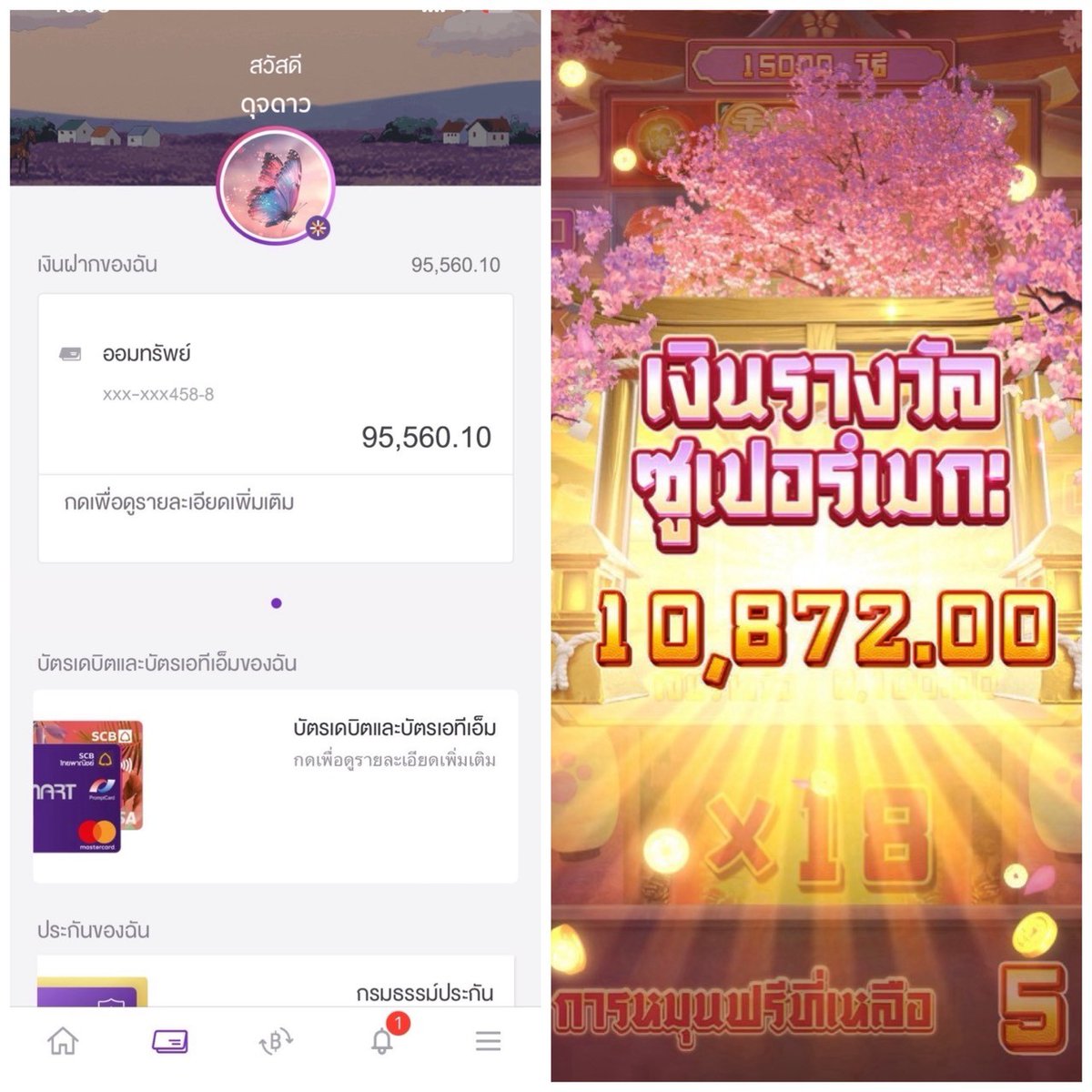 น้องส้มเช้ง tweet media