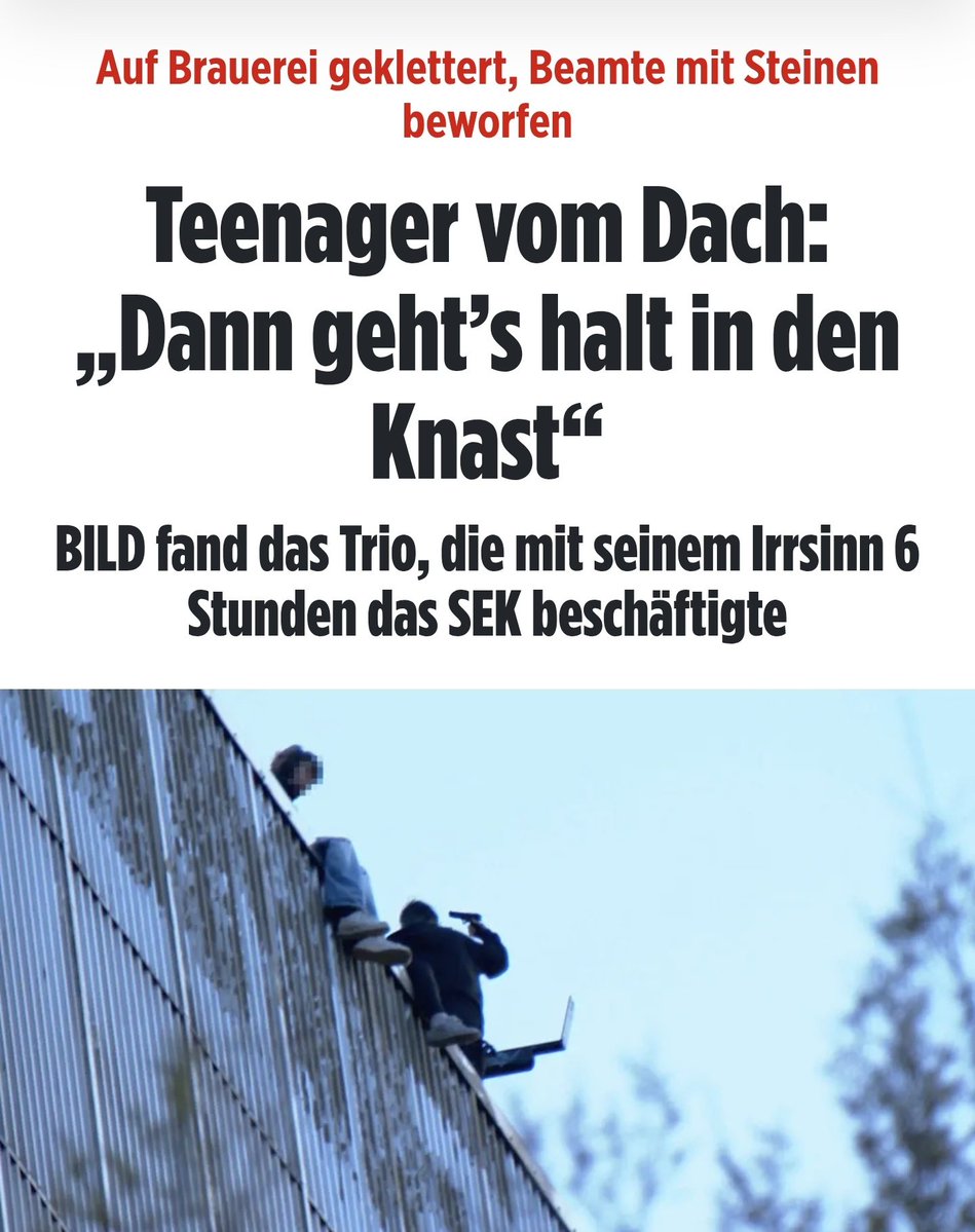 🇩🇪LilitThyra🩶 tweet media