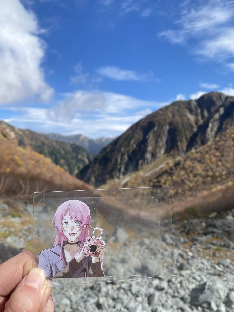 that ansy acc tweet media