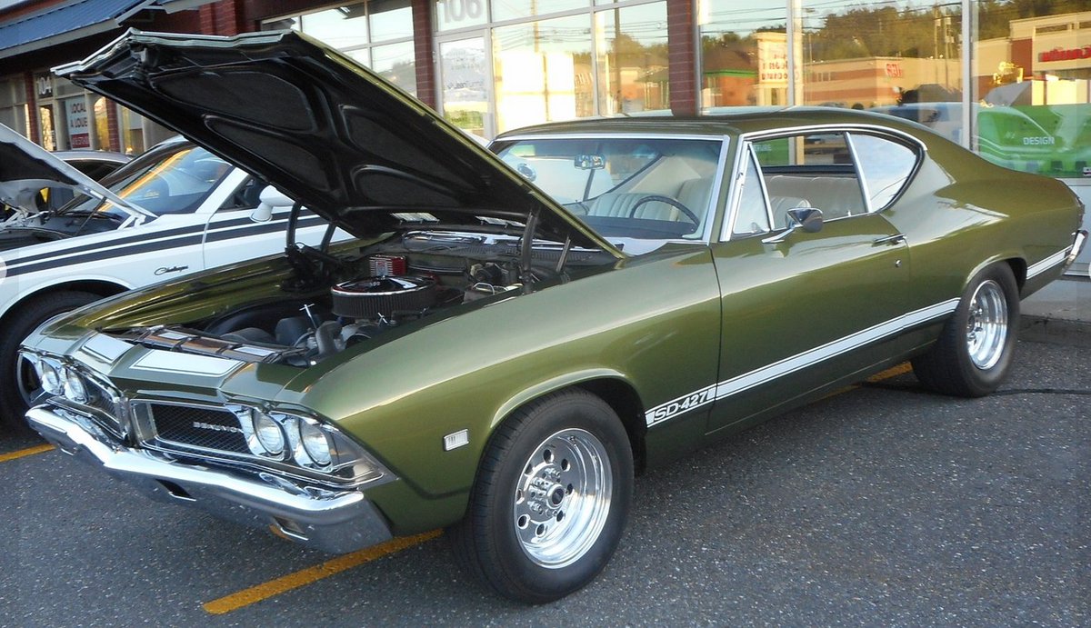 RobotPete of Selwyn! tweet media