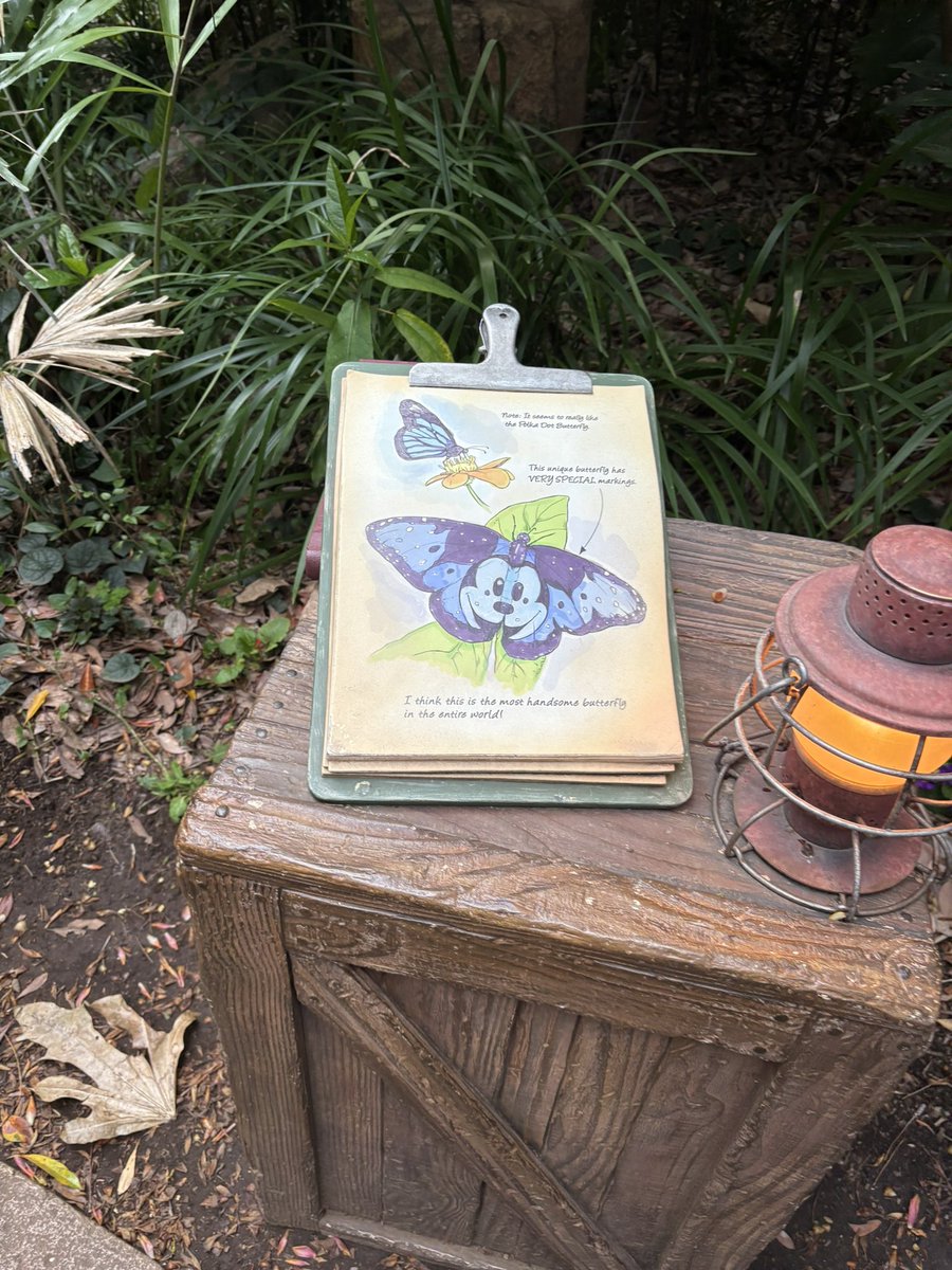 プリンセス名前 tweet media