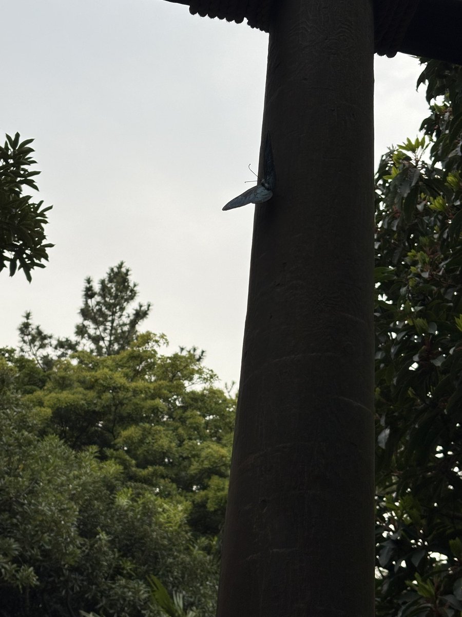 プリンセス名前 tweet media