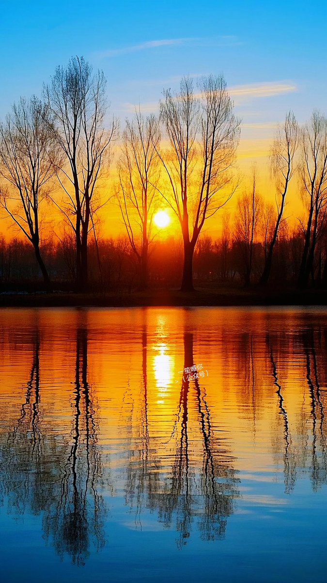 Lacey Lucian tweet media