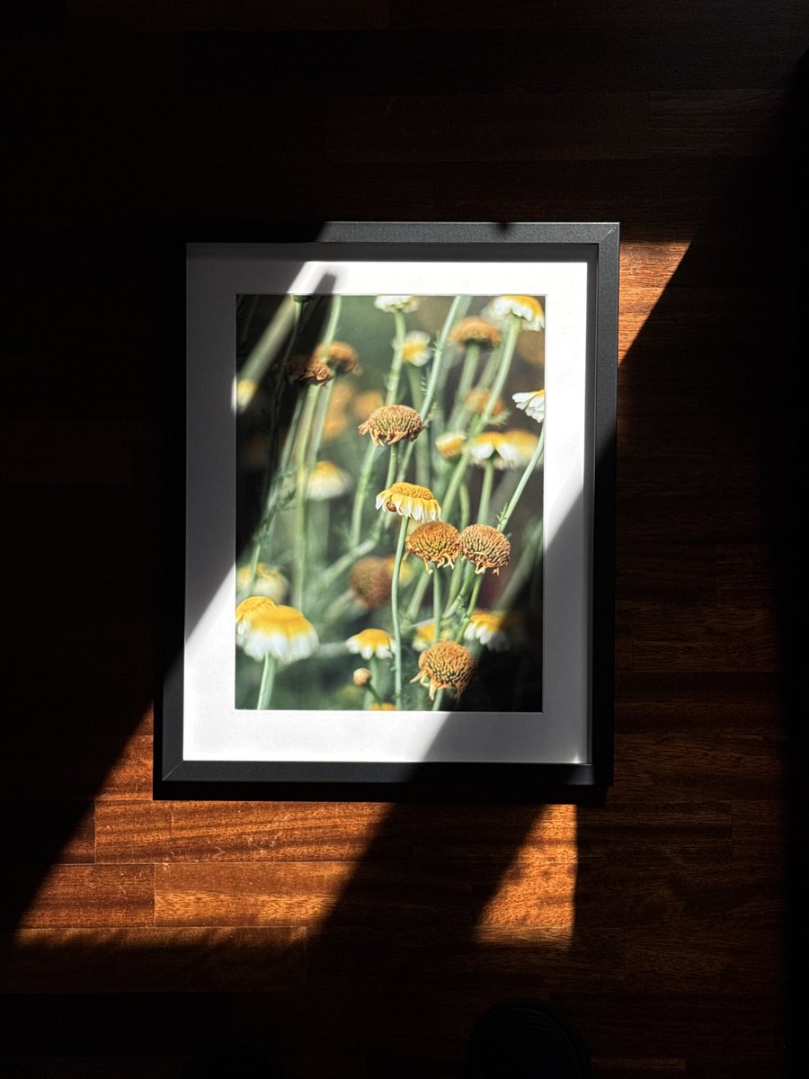 Le mie fotografie stampate: l’unico linguaggio che riesce a scuotermi davvero.