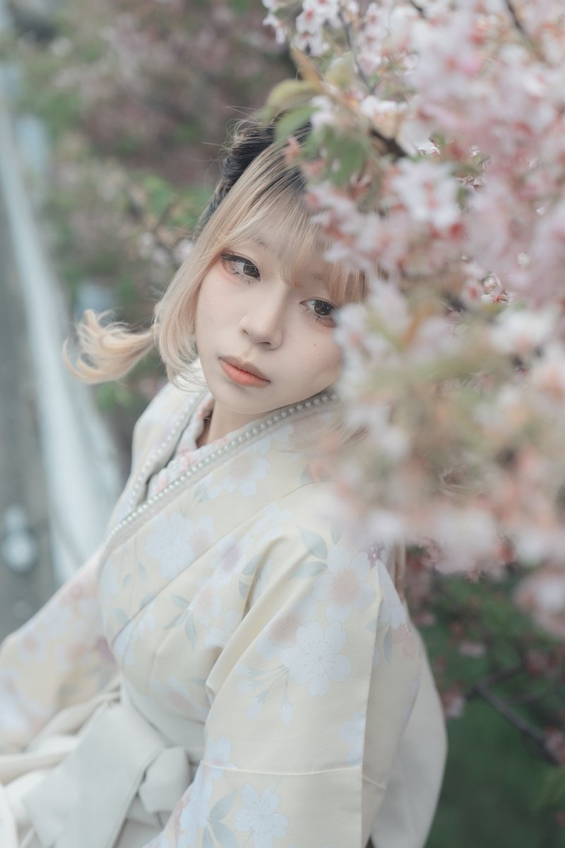Tsz_Kimi's tweet photo. 淀水路の河津桜

👧🏻 柒
📷 Kimi https://t.co/rfcqwcs6mW