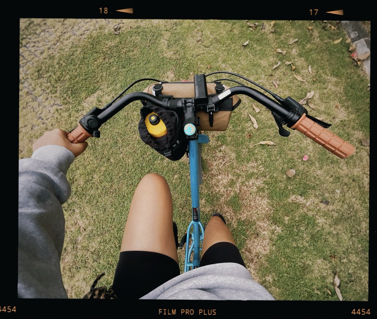 𝕽𝖎𝕽𝖎 tweet media