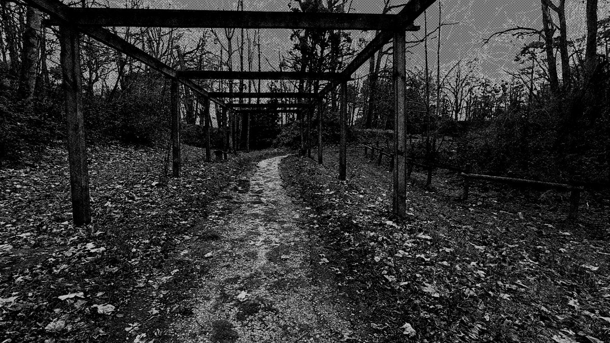 Solid Neon - Wishlist PECADO tweet media