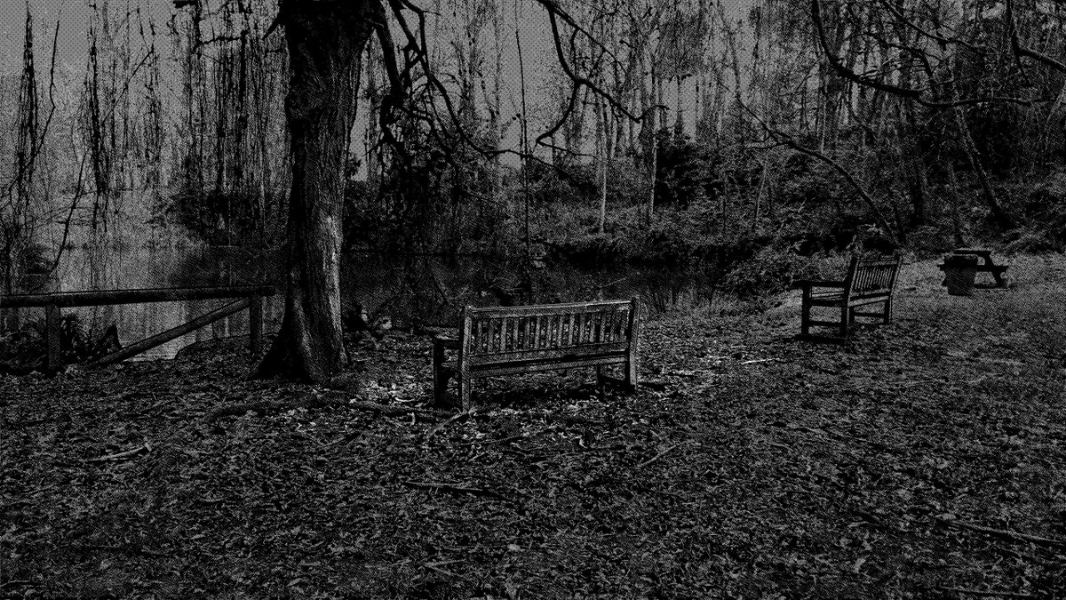 Solid Neon - Wishlist PECADO tweet media