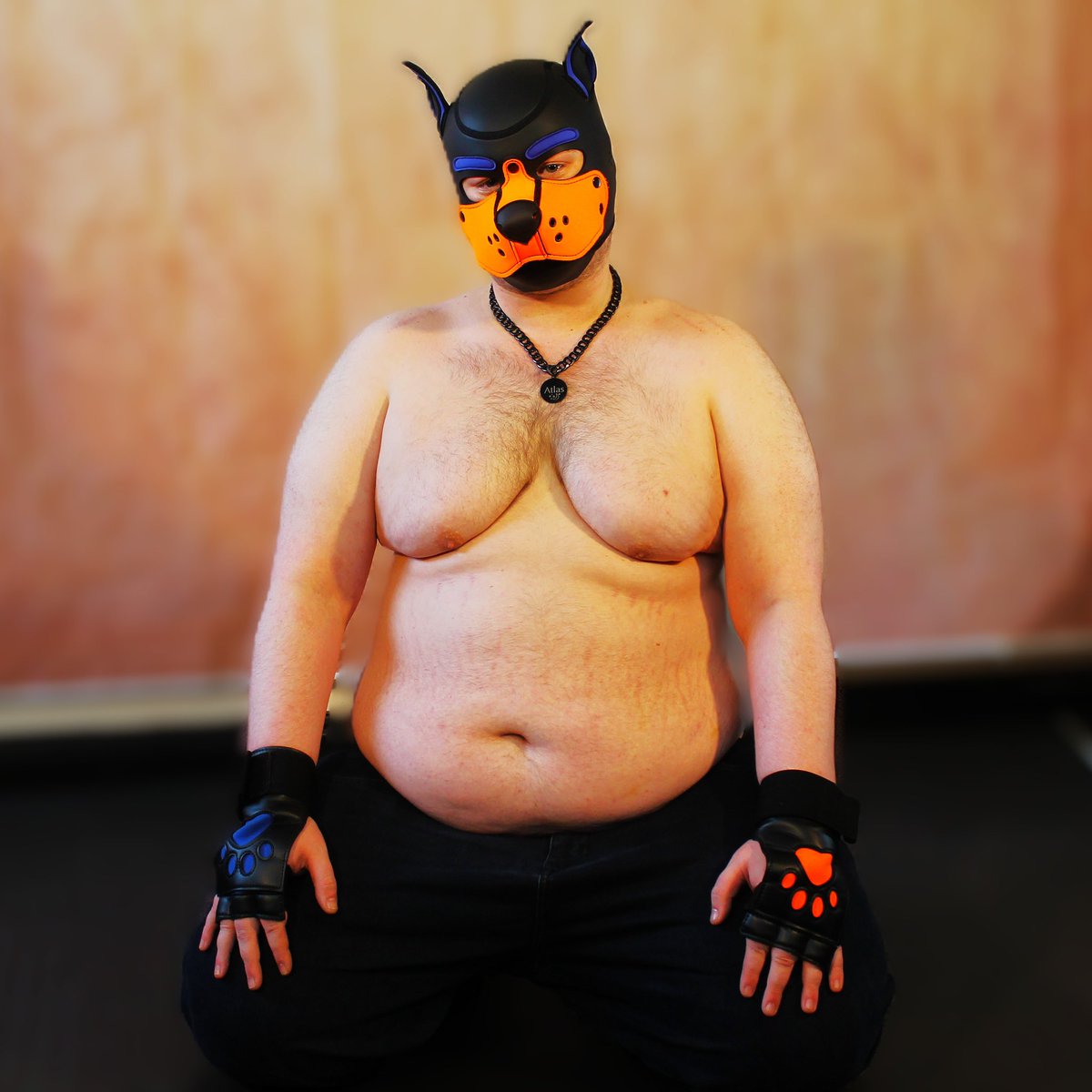 mutt Atlas tweet media