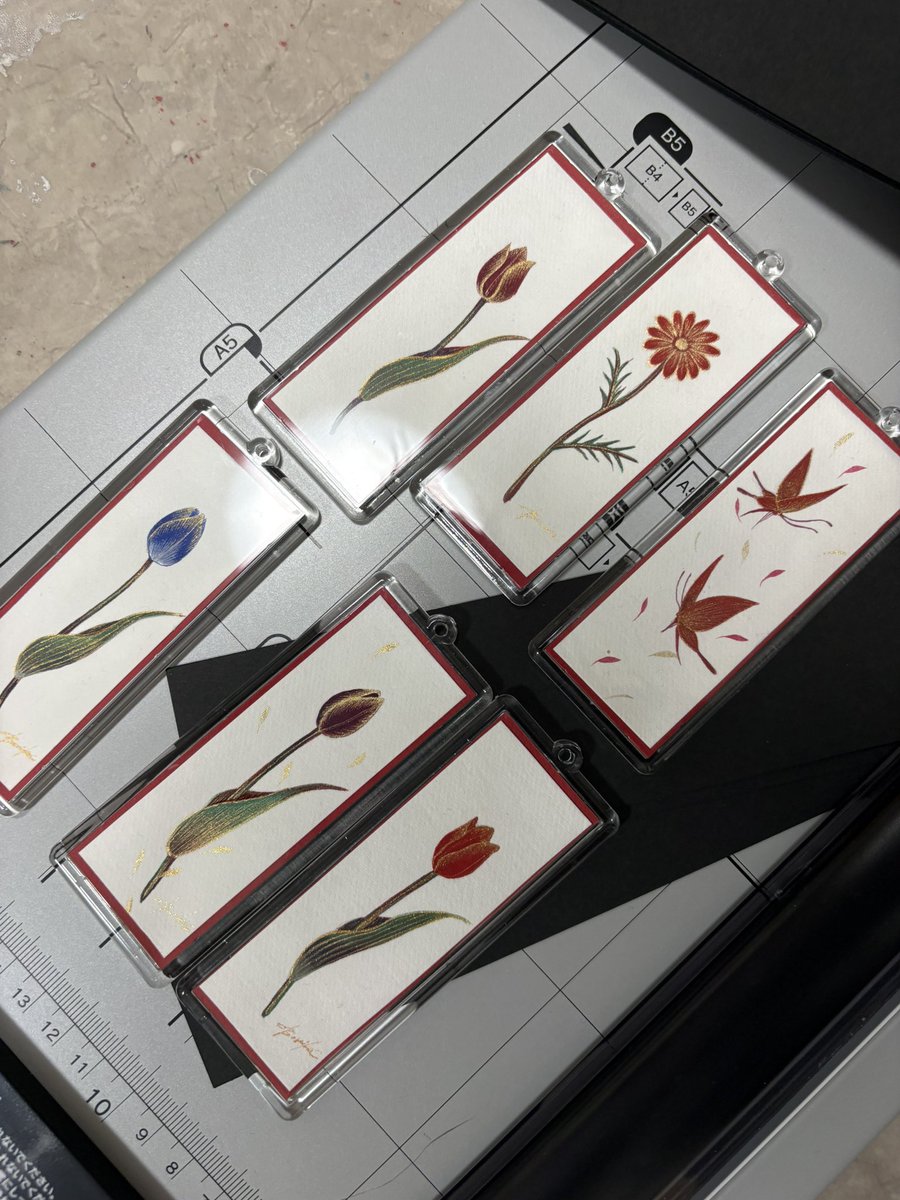 丁子紅子〜benikochoji〜 tweet media