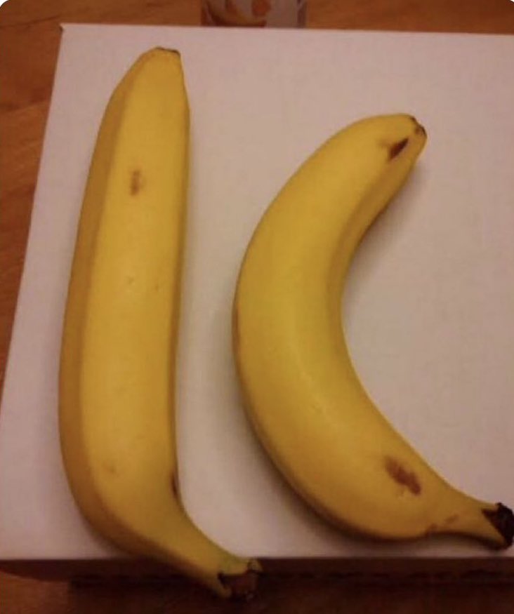 PeePee🎀 tweet media