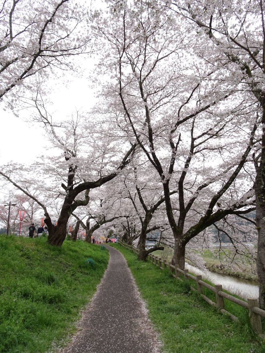 中村太地 tweet media