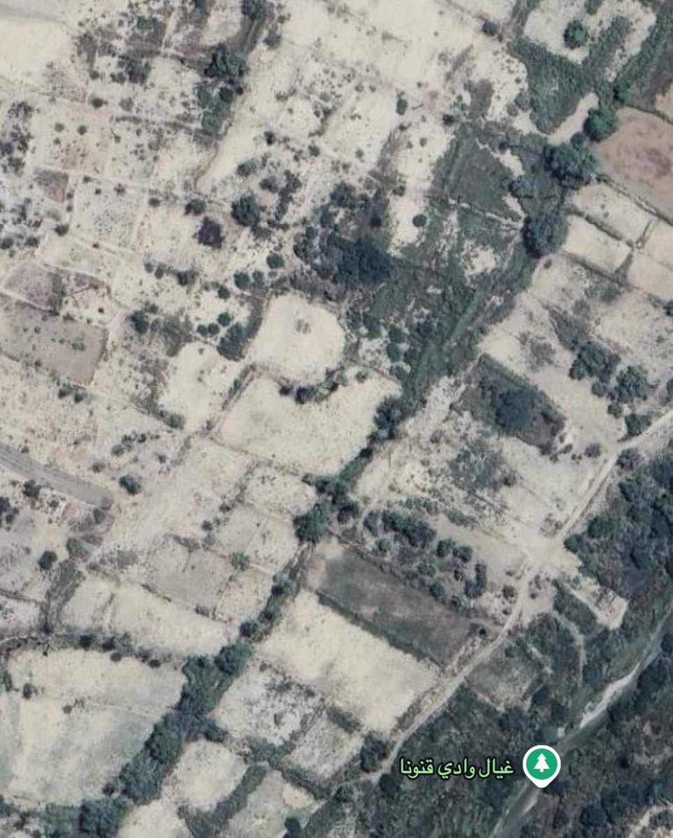 سعيد السهيمي tweet media