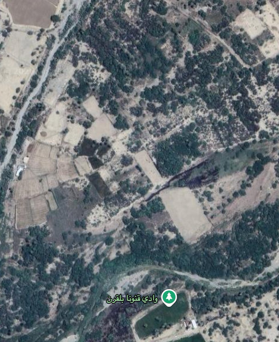 سعيد السهيمي tweet media