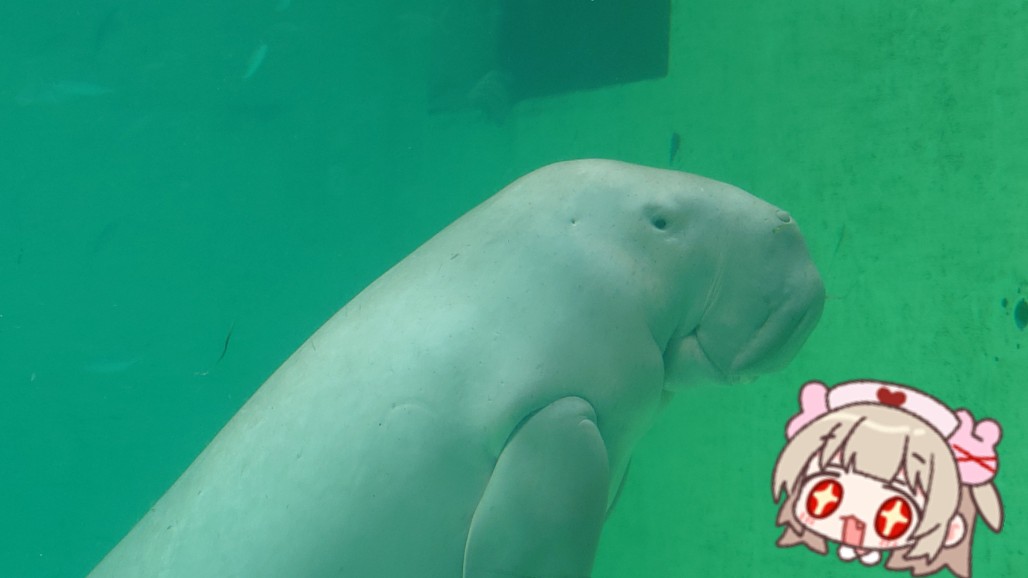 こんにちは🍆 tweet media