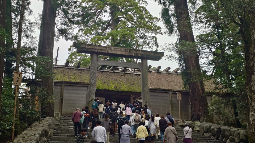 こんにちは🍆 tweet media